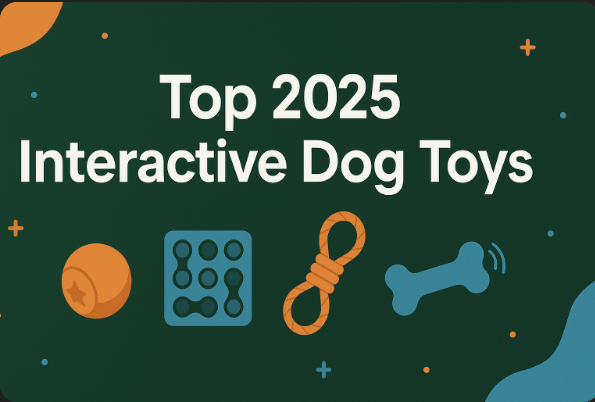 Top 2025 Interactive Dog Toys