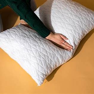 Coop Home Goods Original Adjustable Pillow