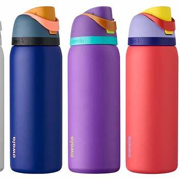 Stainless Steel Water Bottles with Straws 2 Owala FreeSip Water Bottle